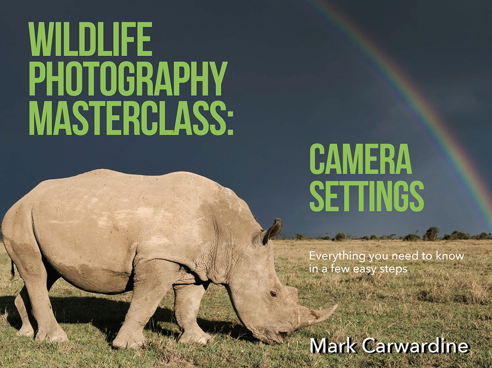 Download Wildlife Photography Masterclass: Camera Settings